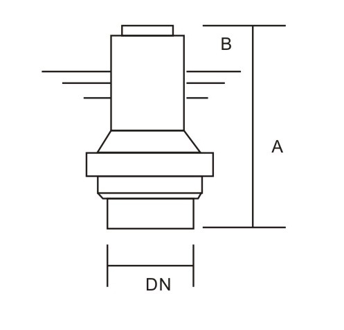 1564124999658435.jpg 401.jpg